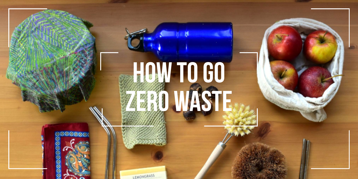 Challenges and Solutions in Zero-Waste Advocacy